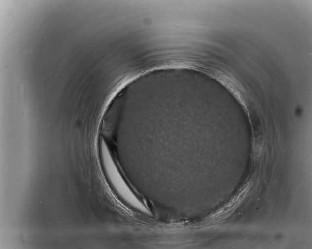 X0000098180797200805011035