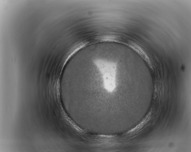 X0000098180798200805011035