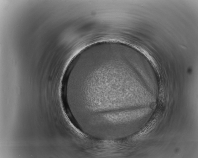 X0000098180799200805011035