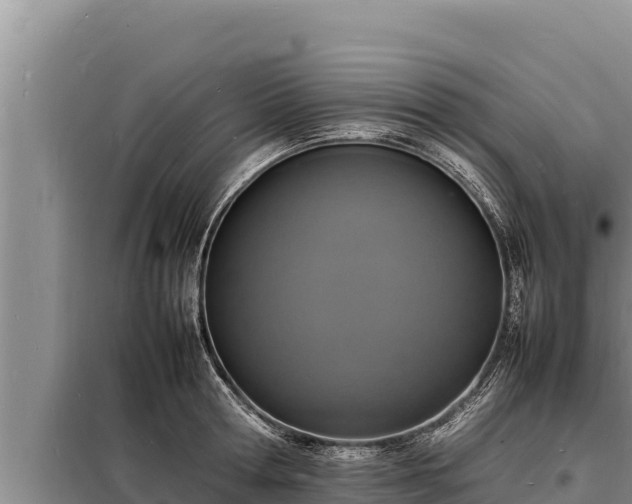 X0000098180802200805011034