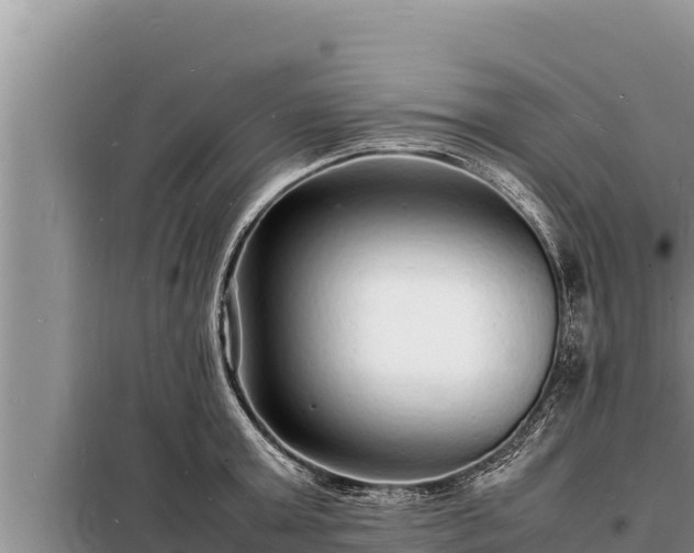 X0000098180803200805011034