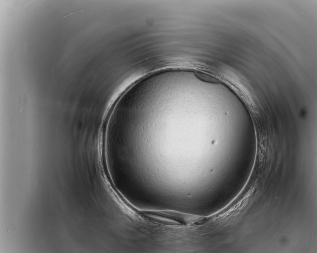 X0000098180804200805011034