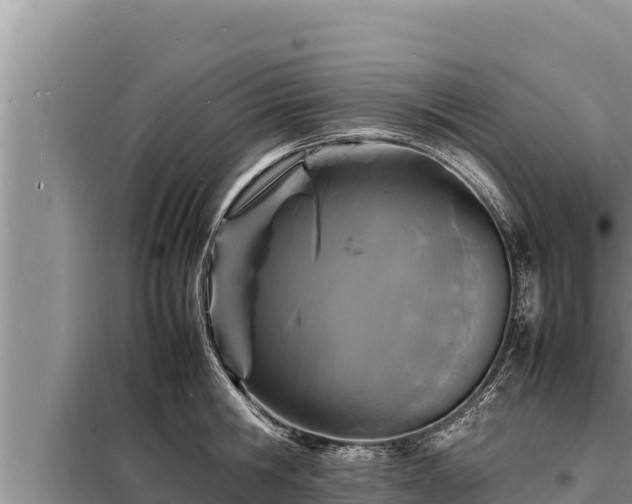 X0000098180806200805011034