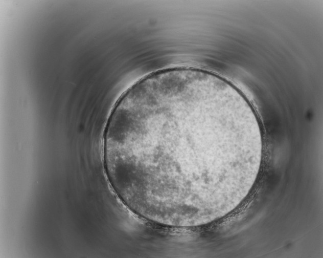 X0000098180807200805011034