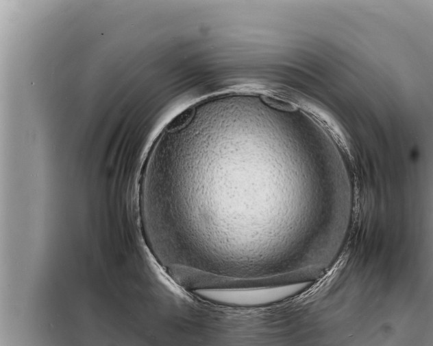 X0000098180808200805011034