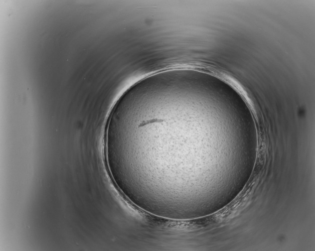 X0000098180811200805011034