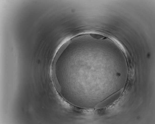 X0000098180813200805011034