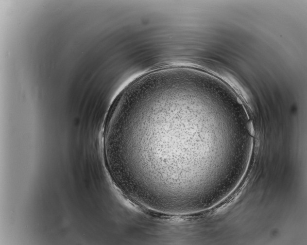 X0000098180814200805011034