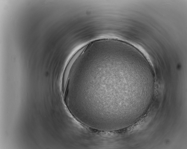 X0000098180815200805011034