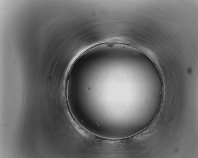 X0000098180816200805011034