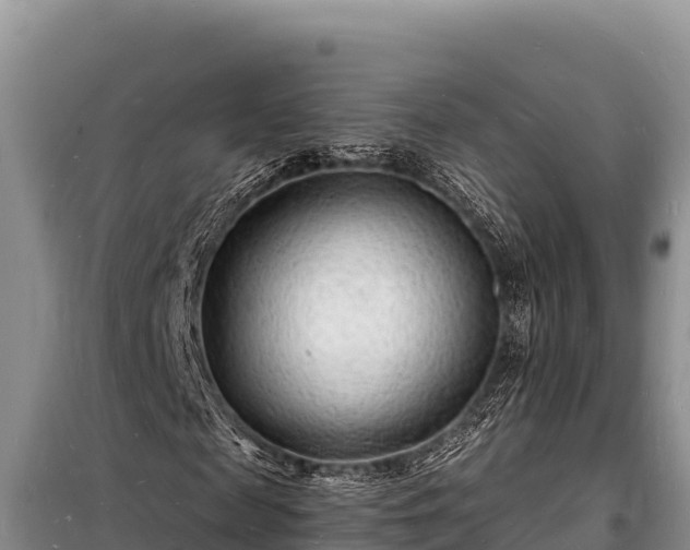 X0000098180817200805011034