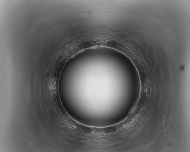 X0000098180818200805011034