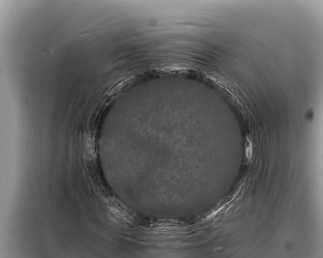 X0000098180819200805011034