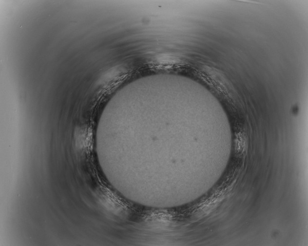 X0000098180820200805011034