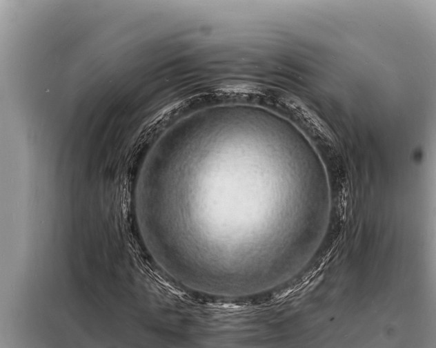 X0000098180821200805011034