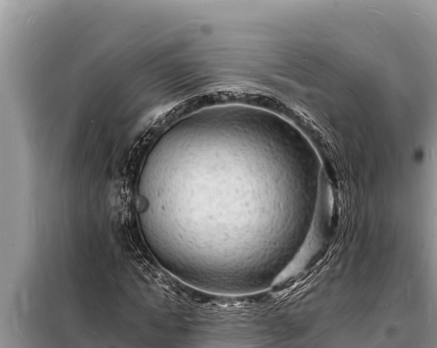 X0000098180822200805011034