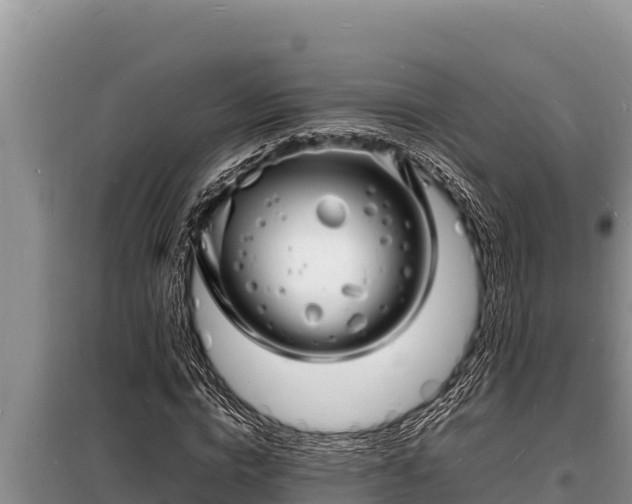 X0000098180824200805011034