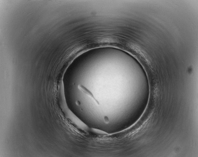 X0000098180825200805011034