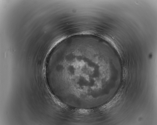 X0000098180827200805011034