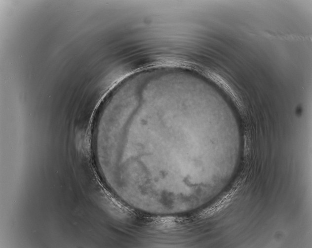 X0000098180828200805011034