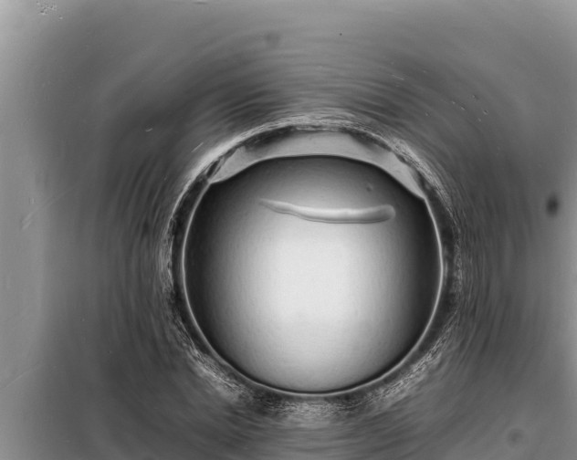 X0000098180830200805011034