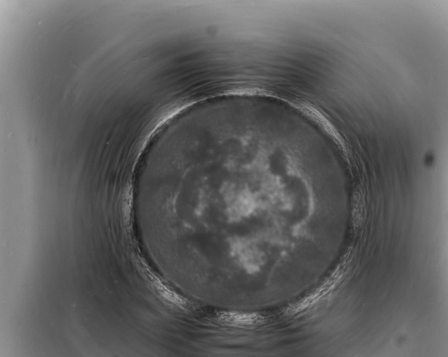 X0000098180831200805011034