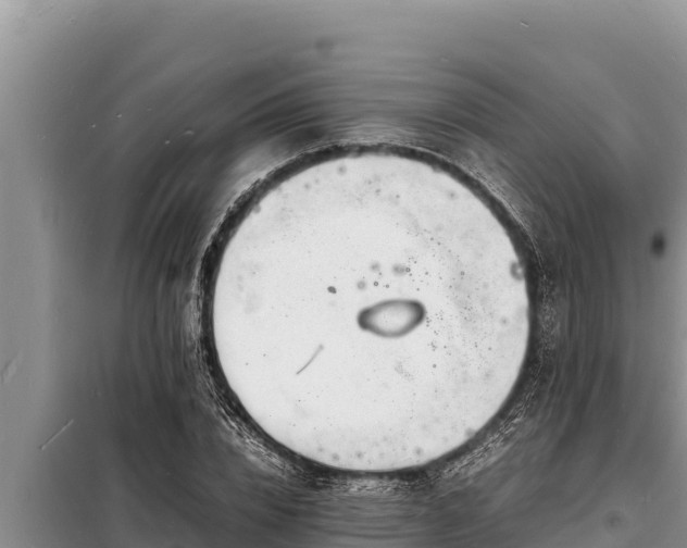 X0000098180832200805011034