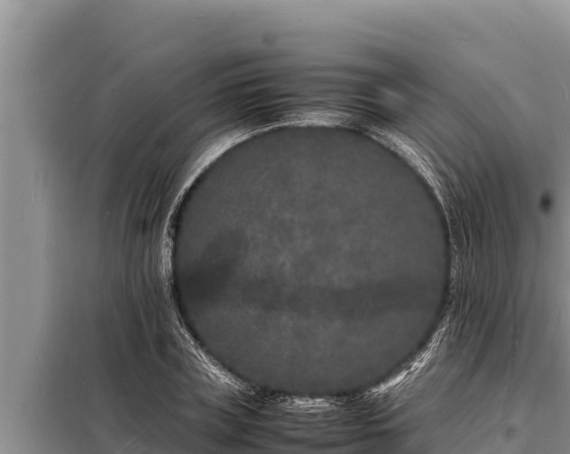 X0000098180835200805011034