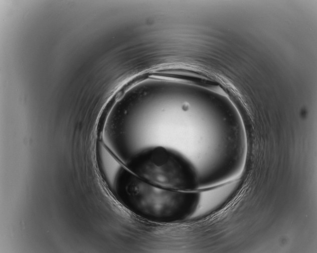 X0000098180836200805011034