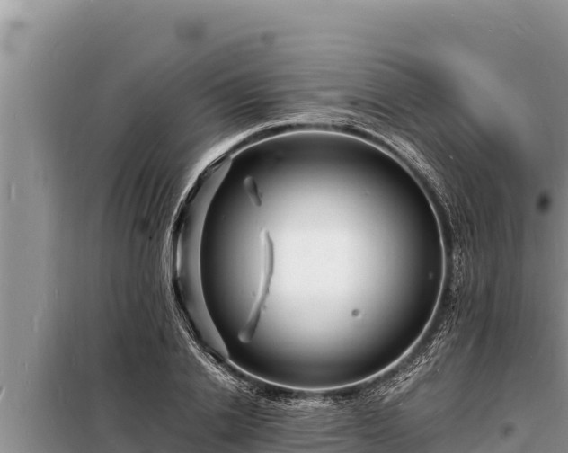 X0000098180838200805011034