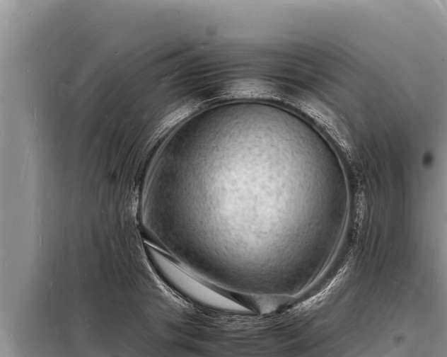 X0000098180841200805011034