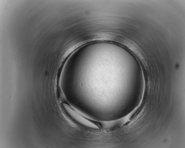 X0000098180842200805011034