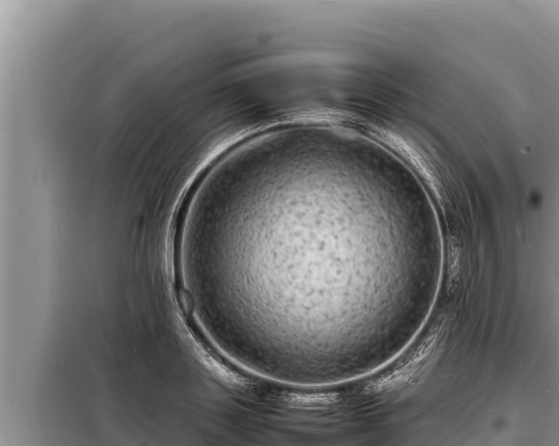 X0000098180843200805011034