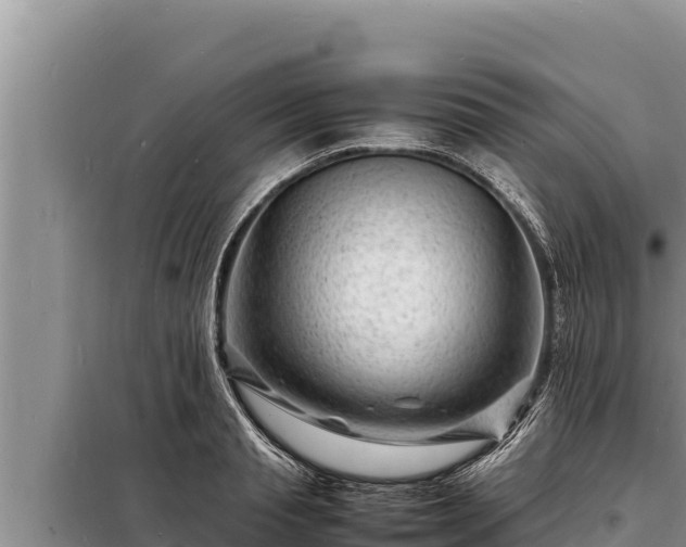 X0000098180845200805011034