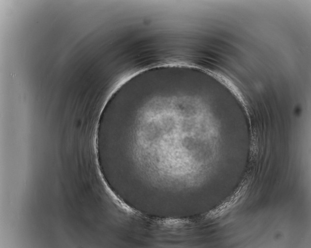 X0000098180847200805011034