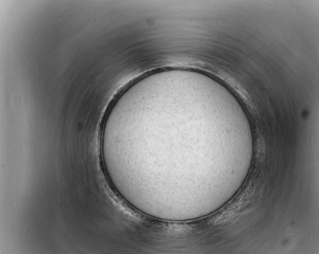 X0000098180848200805011034