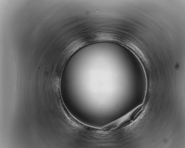 X0000098180849200805011034