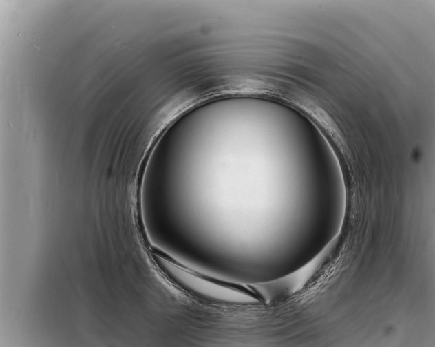 X0000098180850200805011034