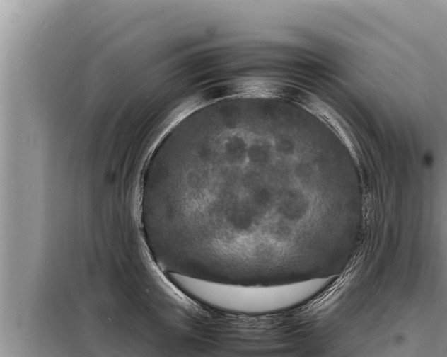 X0000098180851200805011034