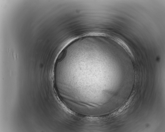 X0000098180852200805011034