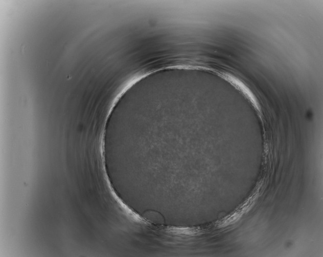 X0000098180855200805011034