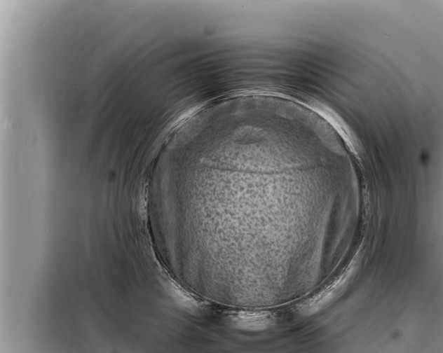 X0000098180857200805011034