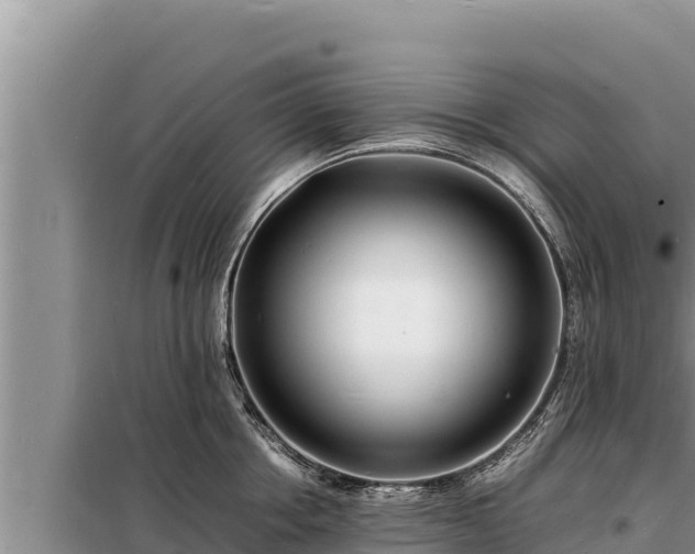 X0000098180858200805011034