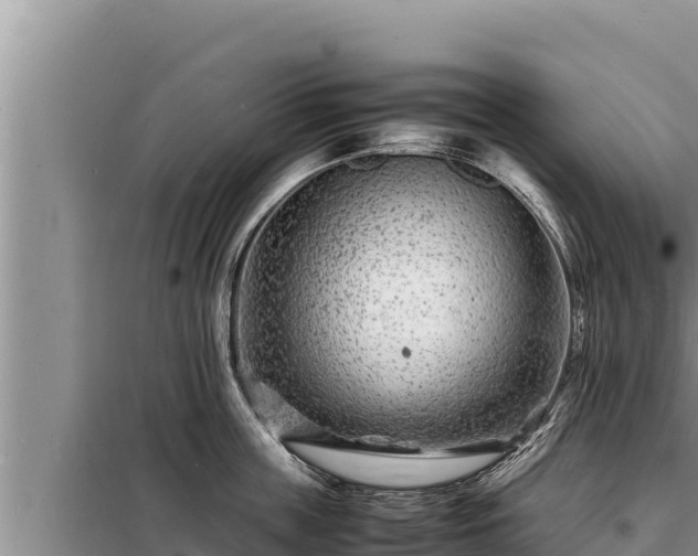 X0000098180859200805011034