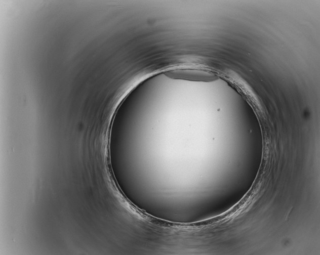 X0000098180860200805011034