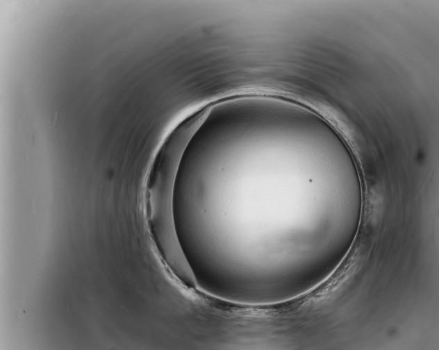 X0000098180862200805011034