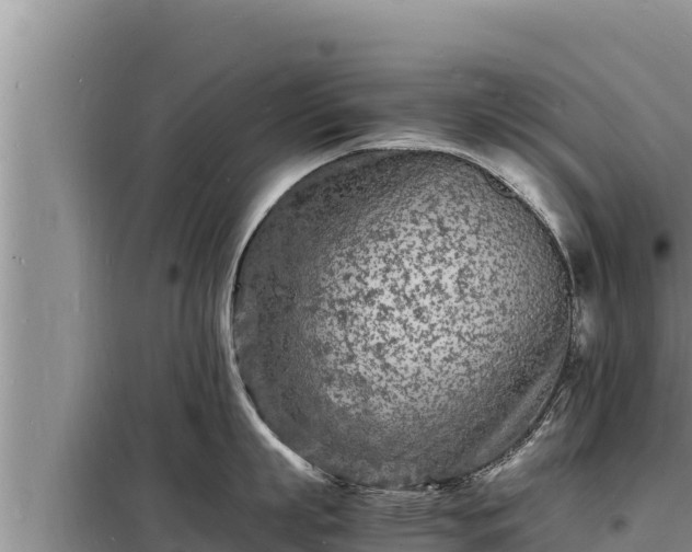 X0000098180863200805011034