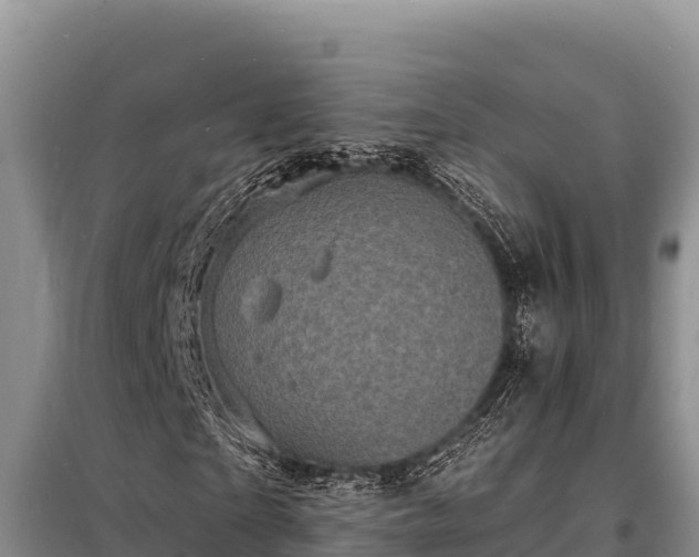 X0000098180865200805011034