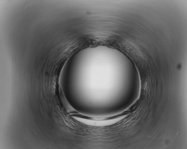 X0000098180868200805011034