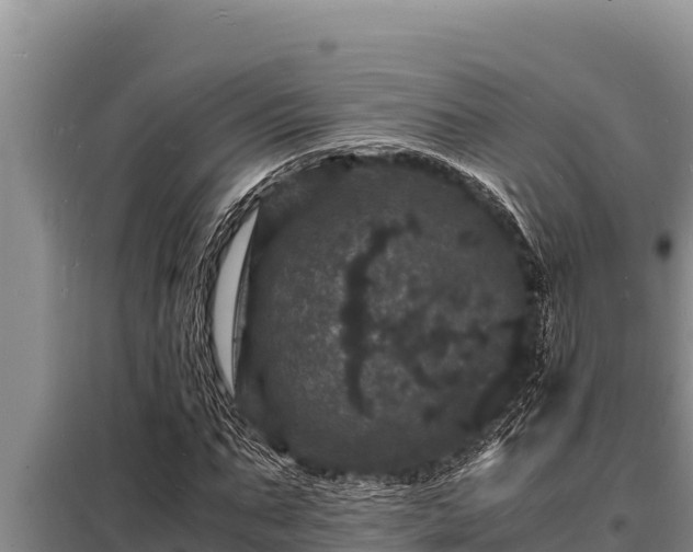 X0000098180871200805011034